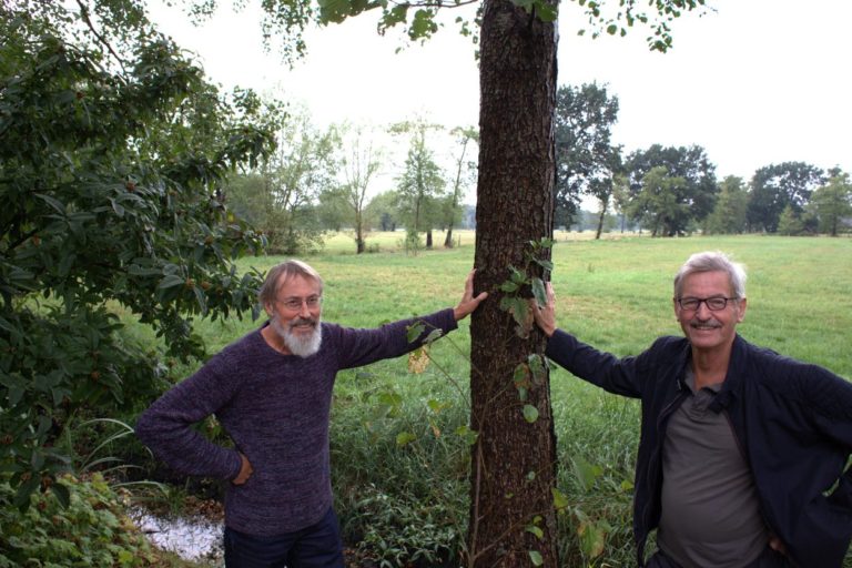 Terug met de houtsingels en weidevogels in het Westerkwartier!