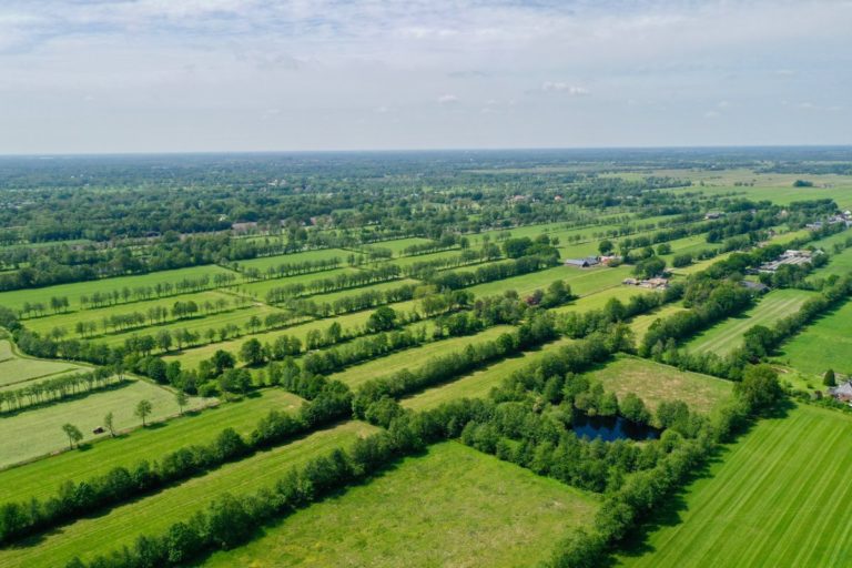 Dromen over boeren met bomen